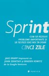 Sprint. Cum sa rezolvi probleme importante si sa testezi idei noi in doar cinci zile - Jake Knapp