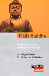 Pilula Buddha. Meditatie, yoga si schimbare personala - Miguel Farias